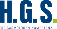 logo hgs sonderfarbe 200